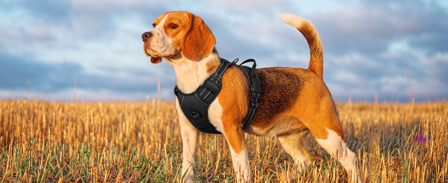 Нагрудник для собак великих порід Eagloo, чорний, розмір L, анти-тяга, з відбиваючими смугами, регульований