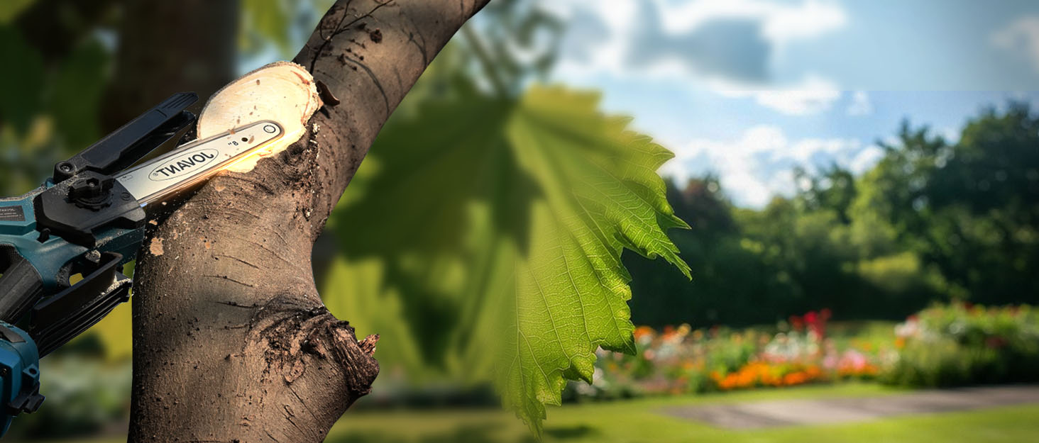 Електричний точило для ножів 15 градусів 3-в-1 для м'яса та овочів, професійний, для грубого, тонкого шліфування та полірування кухонних ножів (включно з кухонними ножами)