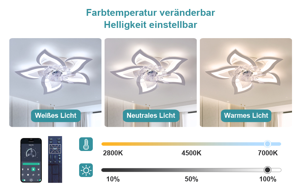 Тихий стельовий вентилятор з підсвічуванням Leise, LED, диммування, 5 ламп, 69 см, білий