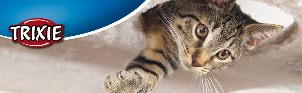 Транспортний бокс Trixie Capri 1, XS (32x31x48 см), темно-сірий/світло-сірий