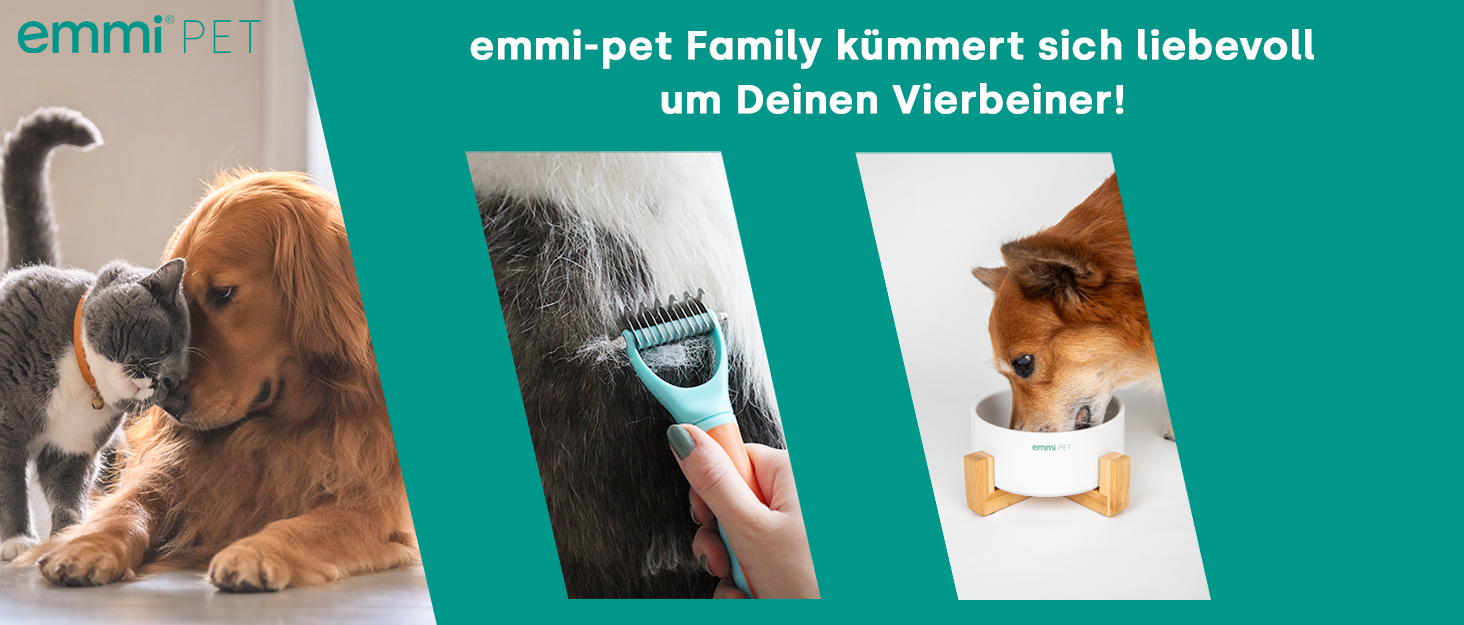 Турбунок для собак Emmi-pet 600 мл з контейнером для корму 150 мл – портативна пляшка для пиття в дорогу для маленьких та великих собак – ідеально підходить для подорожей, походів та активного відпочинку – гігієнічний та легко миється – аксесуари для собак, зелений 600 мл