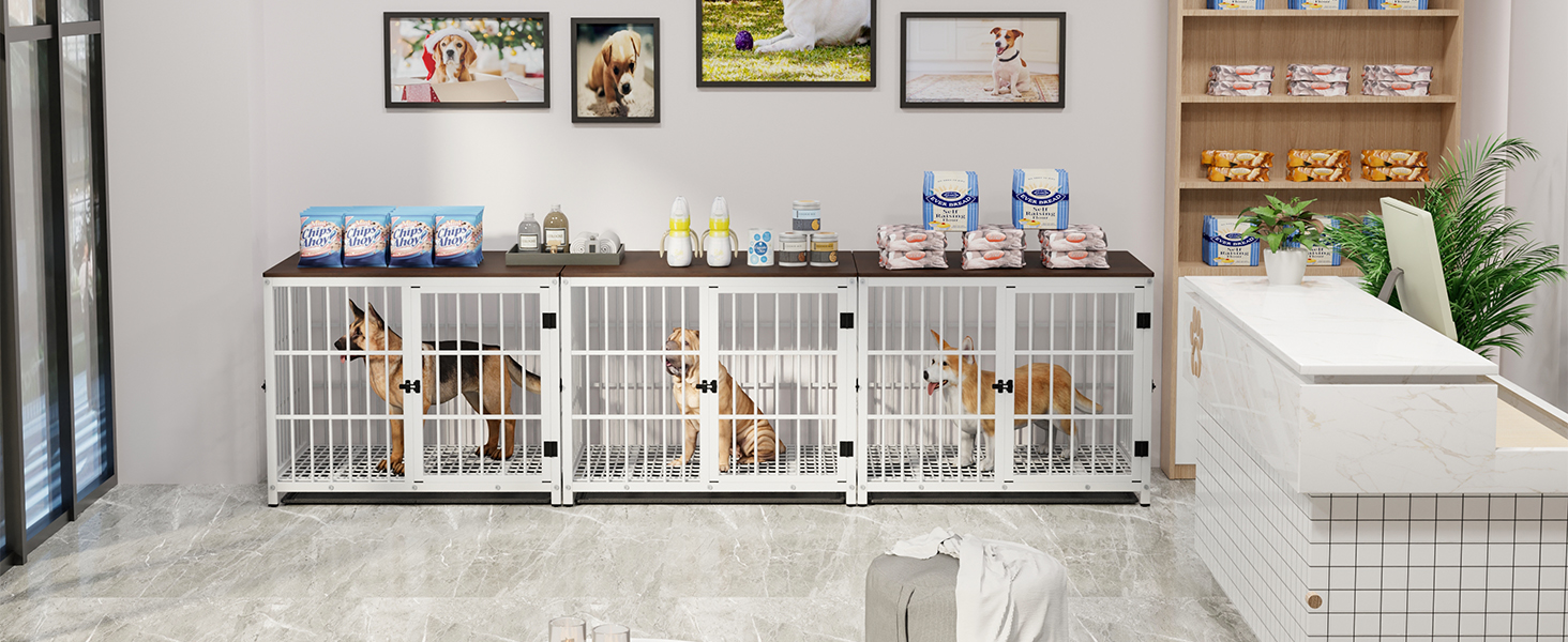 BingoPaw Клітка для собак Holz Indoor: Будинок для собак у стилі меблів з 3 дверима, знімний піддон, для малих собак та цуценят, 78x56x65 см, білий