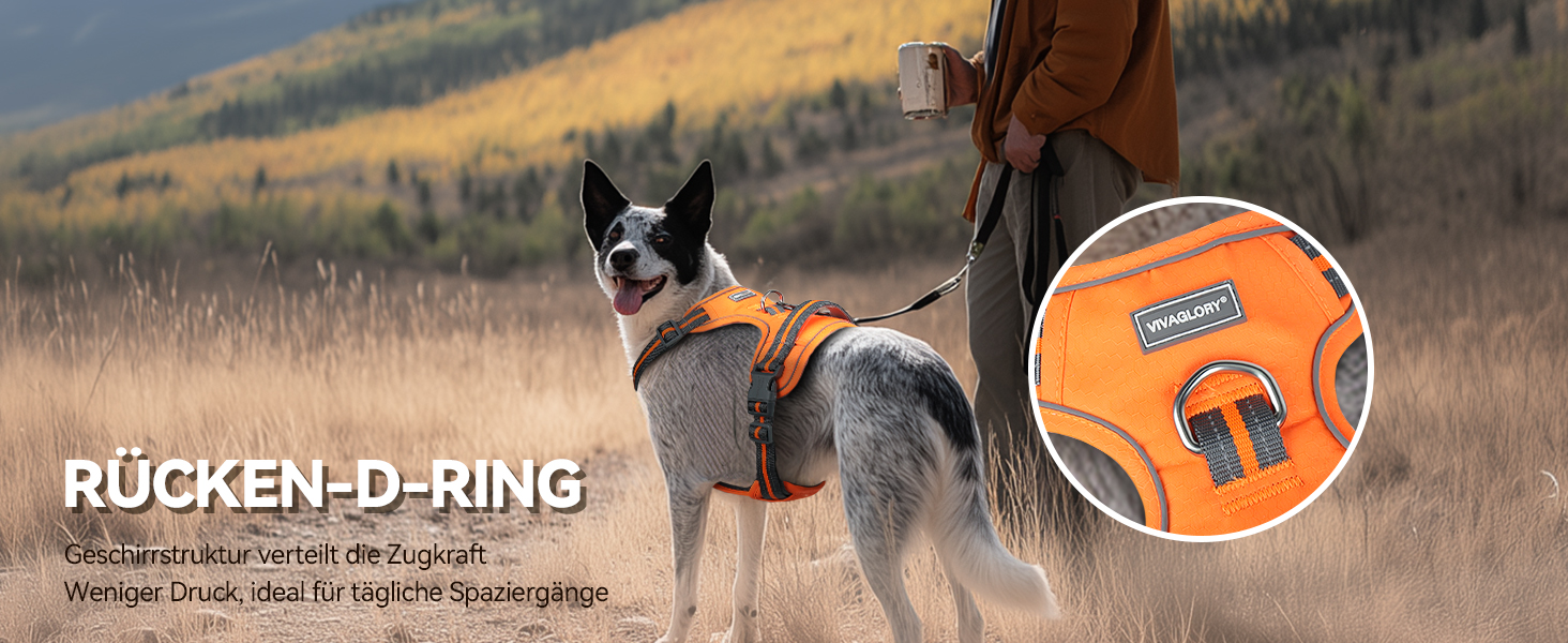 Шлейка для собак VIVAGLORY Easewalk, анти-тяга, для тренувань та прогулянок, з ручкою, анти-тяга для цуценят, XS, фіолетовий (25-51 см окружність грудної клітки)