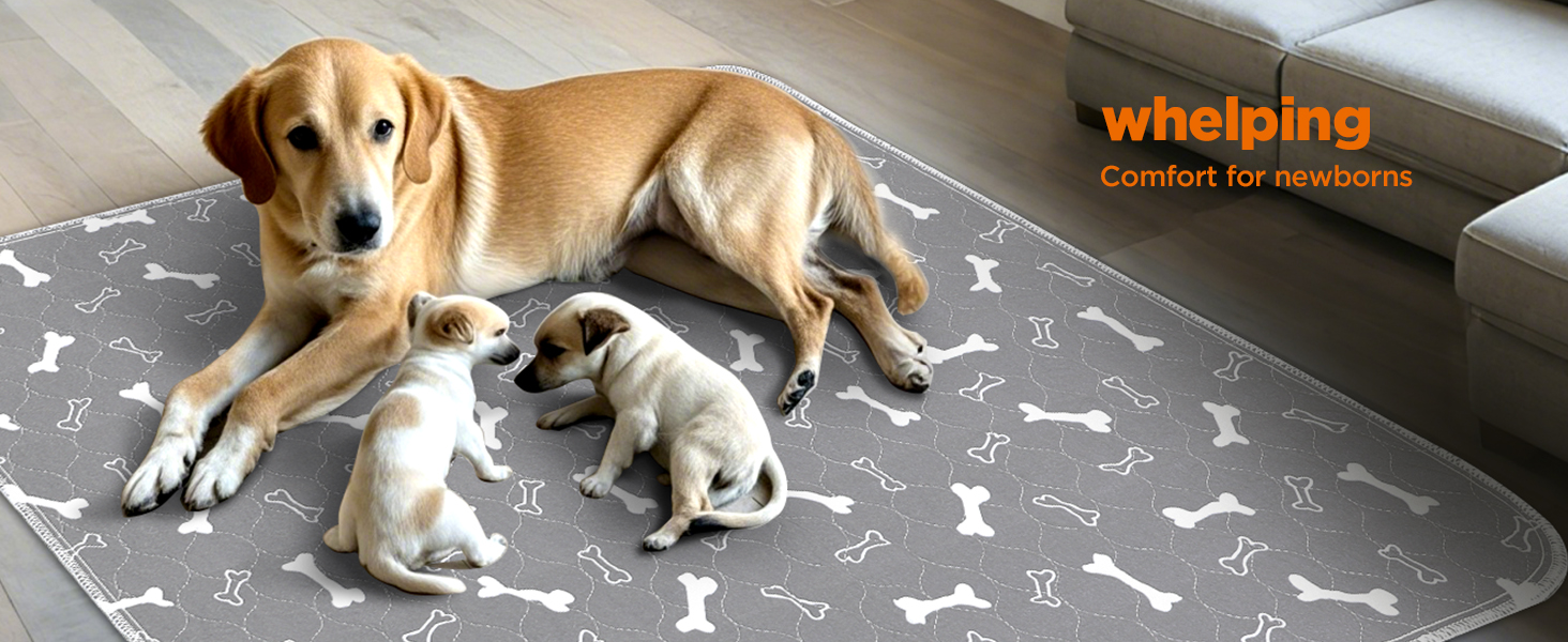 Підкладки для тварин Baodan, 2 шт. 90x60 см, швидко поглинаючі, для собак, котів, морських свинок