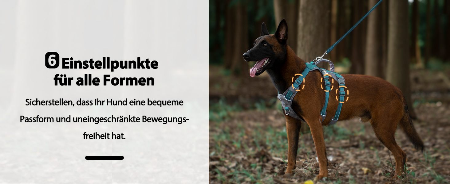 Шлейка безпеки Huntboo для собак, антизламна, від паніки, з ручкою, регульована, для малих, середніх та великих собак (M), блакитно-зелений (1 шт.)