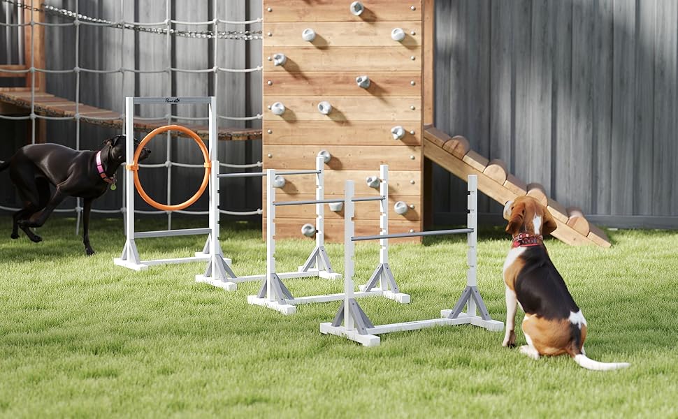 Набір для аджиліті PawHut для собак: 4 елементи, регульовані стрибки, обручі, тренувальне обладнання, координація, ігри та тренування