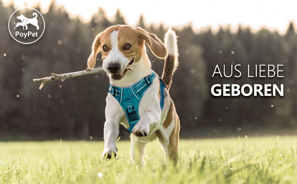 Шлейка для собак PoyPet без натягу, світловідбиваюча, регульована, м'яка, для маленьких собак (Tumalo Teal, S)