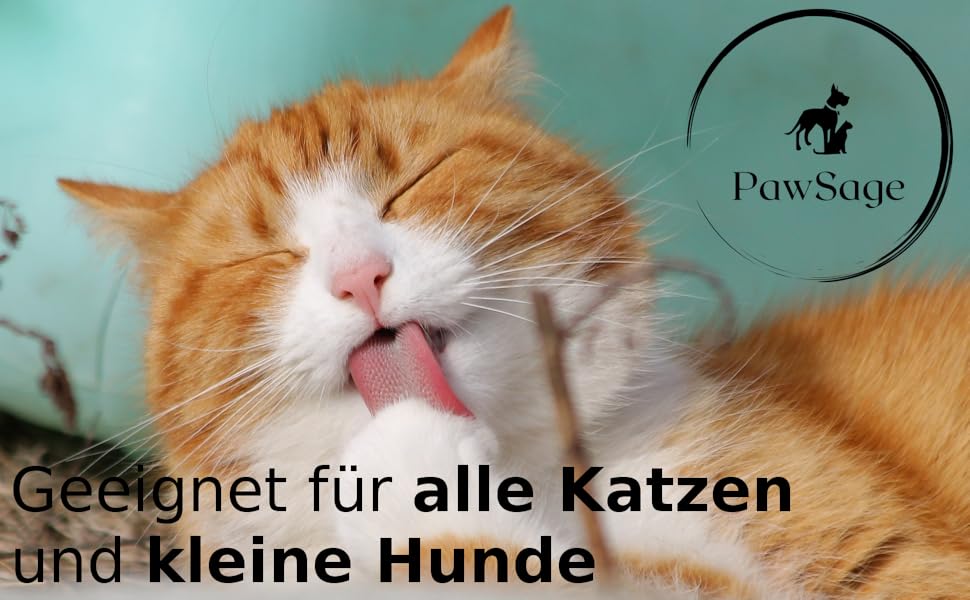 PAWSAGE® Бункер для котів з фетру, XL, 60*60*28 см, лежанка для котів, міцний фетр