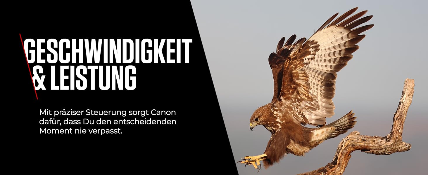 Canon Zoemini 2: Компактний фотодрук - миттєвий друк зі смартфона, Bluetooth 5.0, USB-C, Рожеве золото