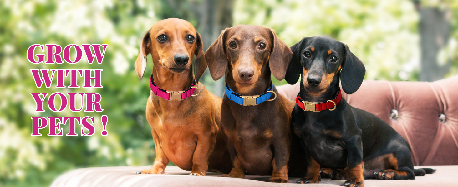 Нашийник для собак Didog з нейлону, м'який, з металевою застібкою, для великих, середніх собак, чорний, L (38-58 см)