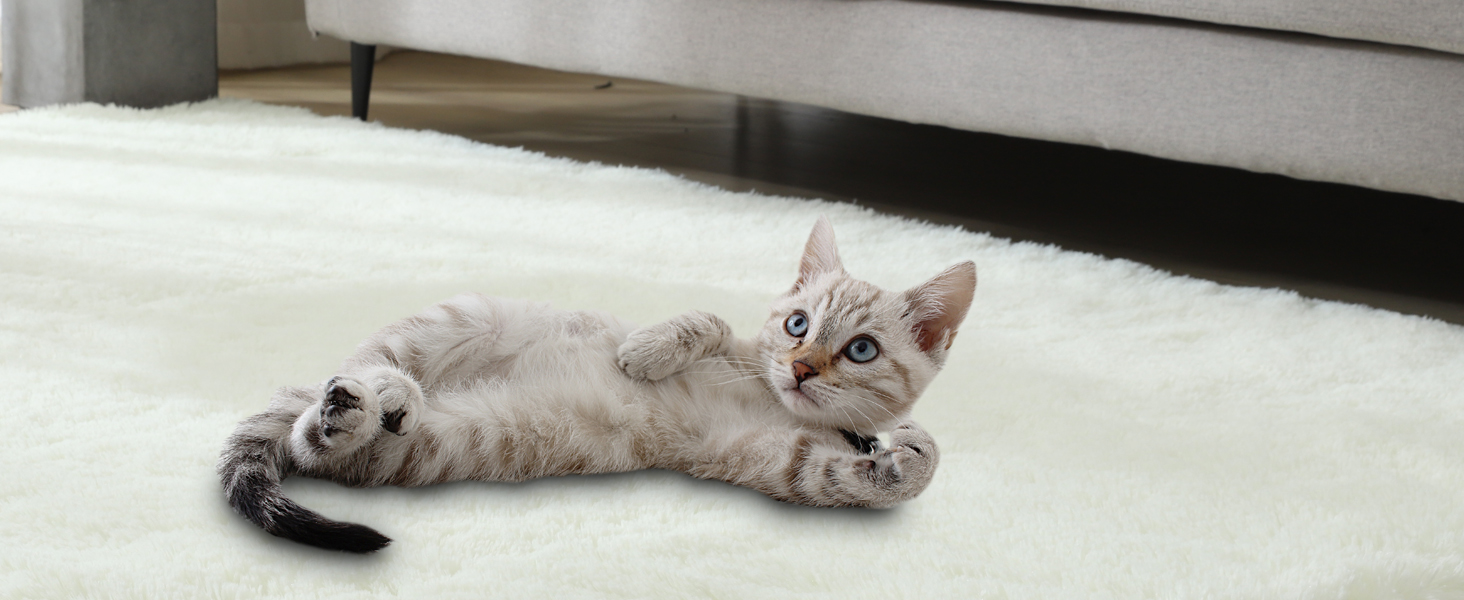 Килимок для вітальні та спальні Gsogcax, 120 x 160 см, сірий, пухнастий, з антиковзаючим покриттям, супер м'який, великий, для дому, сучасний декор, килим на підлогу