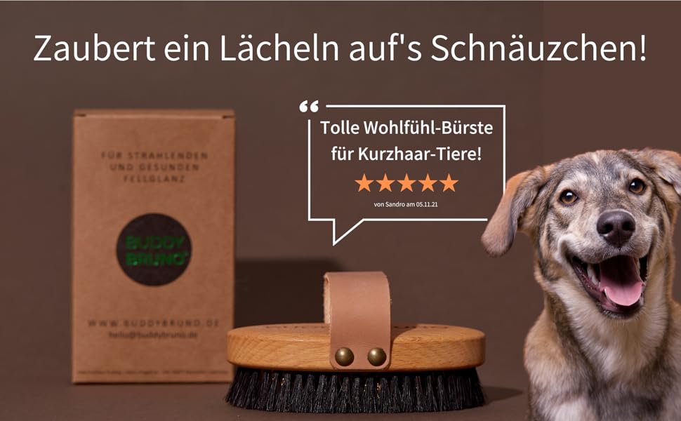 Щітка для собак Buddy Bruno® для короткошерстих порід, 100% натуральна щетина, для щоденного догляду за шерстю, преміум-щітка для собак та котів, з очищувачем, MADE IN DE