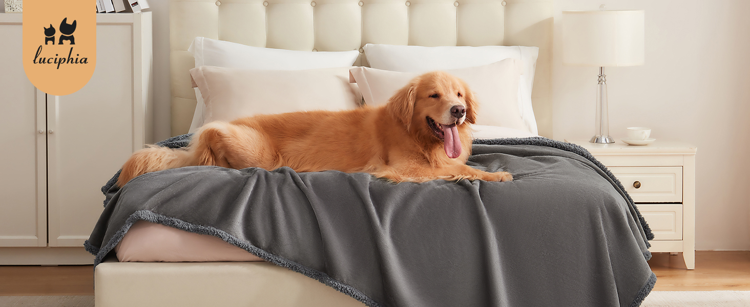 Водонепроникний плед для собак Luciphia, плед для собак і котів великого розміру, прання, водонепроникний, пухнастий, флісовий Sherpa, для дивана, ліжка, софи, світло-сірий M (102 * 145 см)