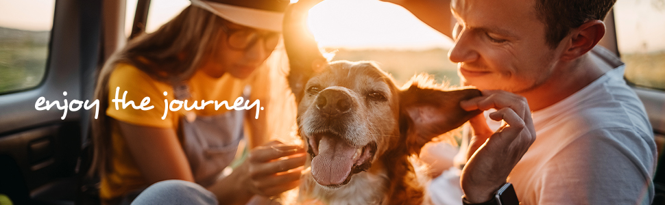 Сітка для собак Travall, сумісна з BMW X1 (2022-тепер), TDG1730 - захист багажника, перегородка для вантажу, сталь з порошковим покриттям