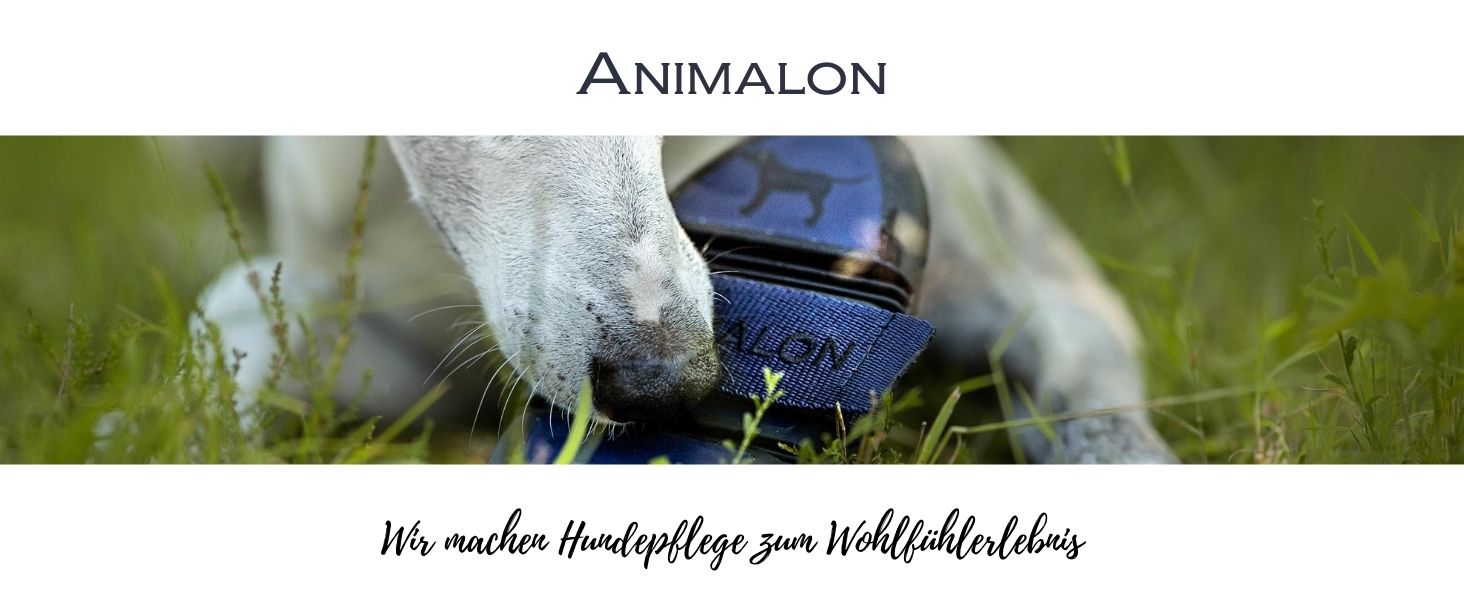 Штрикач для собак Kurzhaar Animalon: допомога при линянні | Штрикач для короткошерстих собак | Інноваційна щітка для дбайливого догляду за шерстю (маленький, синій) Синій, маленький