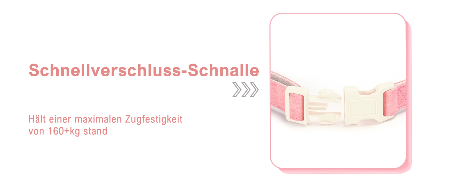 Лідяний нашийник для собак з металевою застібкою, двосторонній, з ім'ям та номером телефону, регульований розмір, M та L (для маленьких собак)