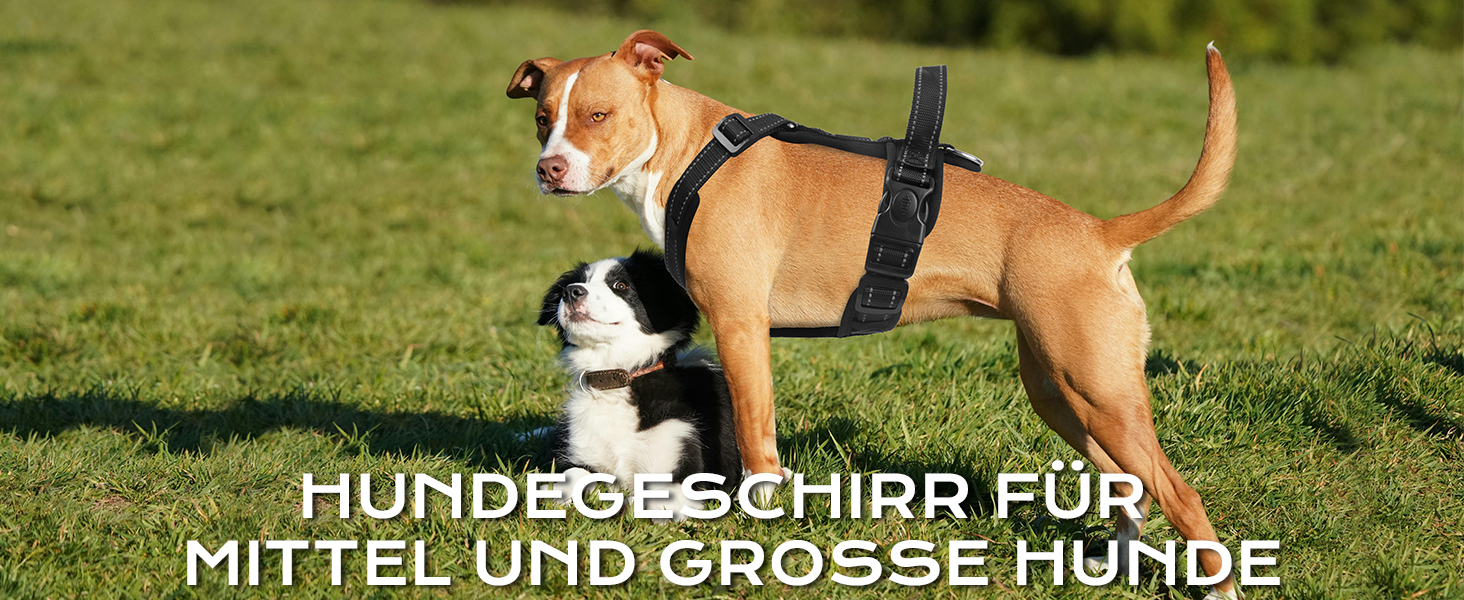 Нашийник для собак LiebeDD чорний XL - комфортний, з ручкою, анти-тяга, для собак середніх розмірів