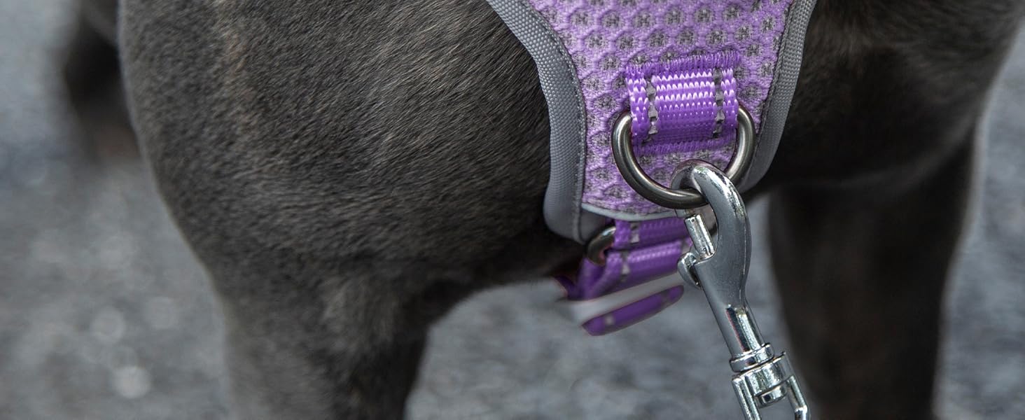 Шлейка для собак Huntboo, безпечна та надійна, з відбиваючими елементами та м'якою ручкою, регульована жилетка для маленьких собак, для прогулянок та тренувань (S, Лавандово-фіолетовий, упаковка з 1)