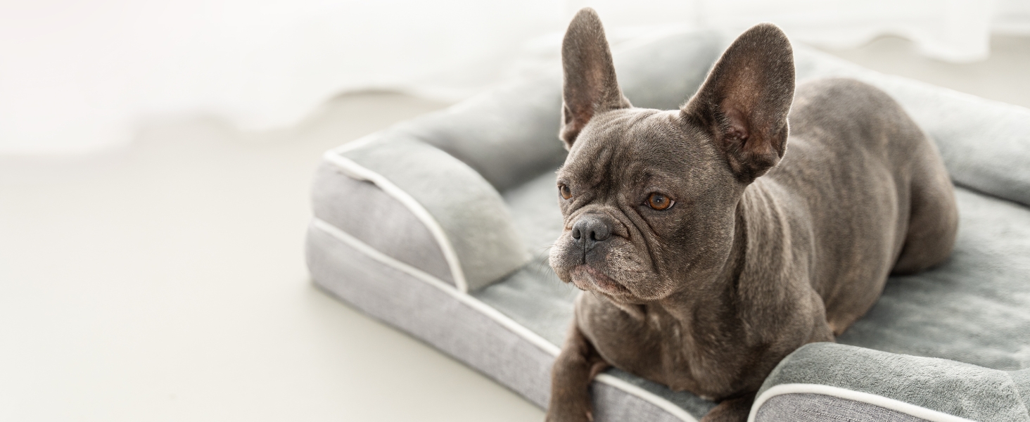 Ортопедичне ліжко для собак Lionto з піднятим бортиком, 97x71x17 см, м'який фланелевий килимок, знімний та пральний чохол, неслизьке, для собак та котів, сірий