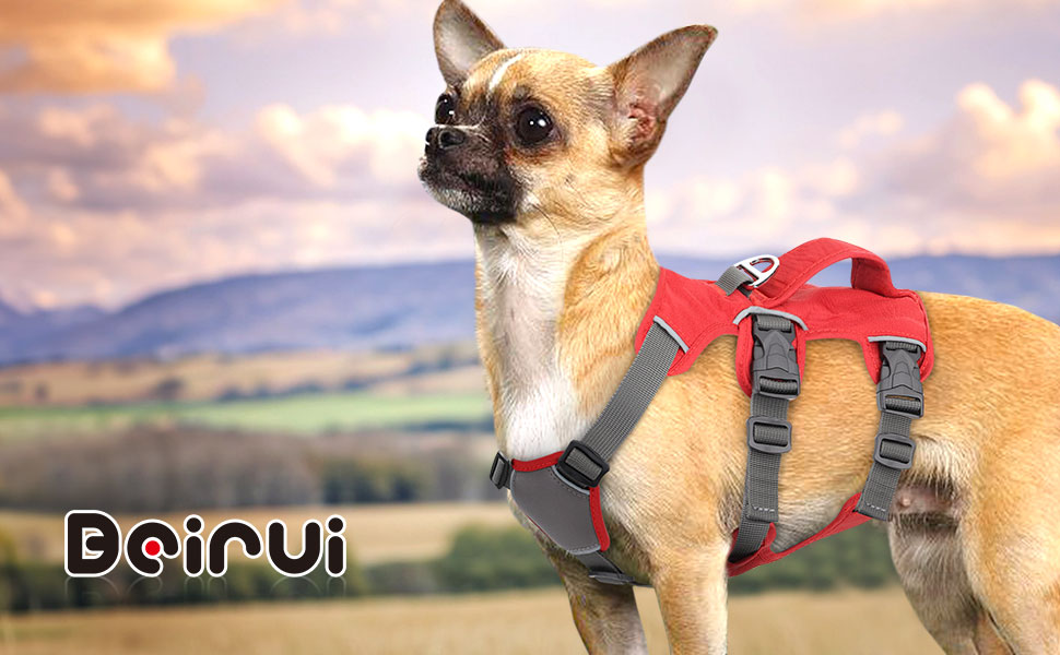 Безпечне шлейка для собак середніх порід Beirui - відбиваючі елементи, без тяги, з м'якою ручкою, водонепроникна, для щоденних прогулянок та тренувань (Сірий), S: обхват грудей 33-69 см, підходить для собак вагою 9-14 кг