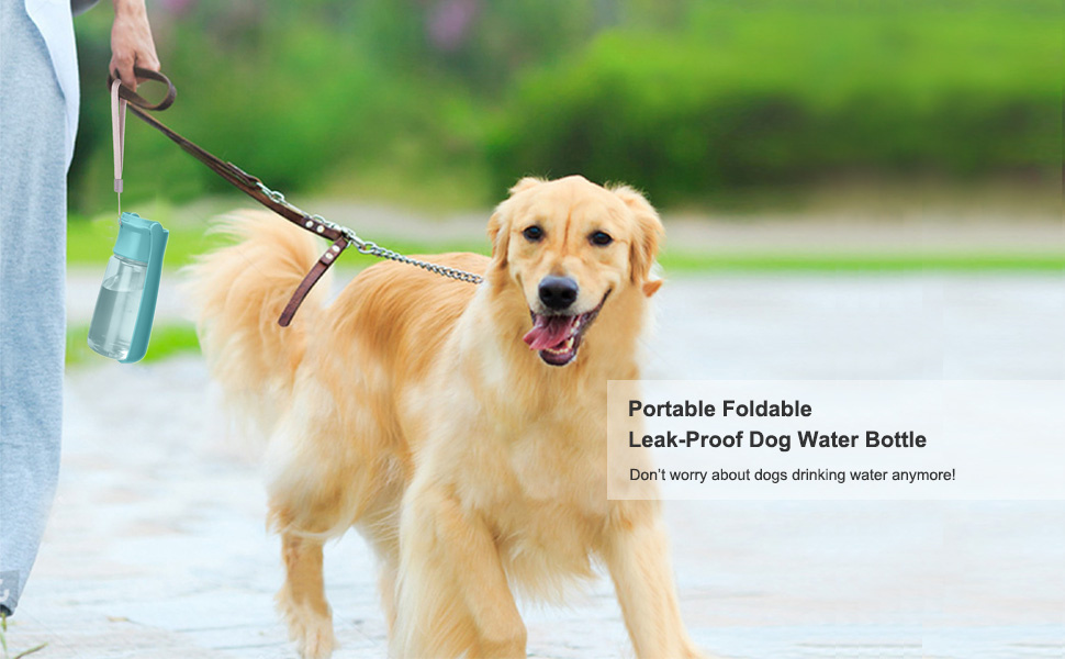 Складана пляшка для води для собак Canareen - 550 мл, блакитна. Зручна для прогулянок, подорожей та активного відпочинку.