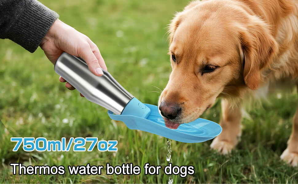Водяна пляшка для собак на прогулянці - не протікає, з нержавіючої сталі, подвійні стінки, вакуумна ізоляція, 750 мл (Блакитна)