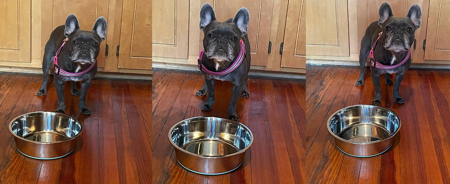 Набір мисок для собак LumoLeaf, нержавіюча сталь, великі, 2 x 3000 мл, з протиковзким силіконовим дном, для великих і середніх собак, миска для їжі та води, придатна для миття в посудомийній машині (подвійний набір)