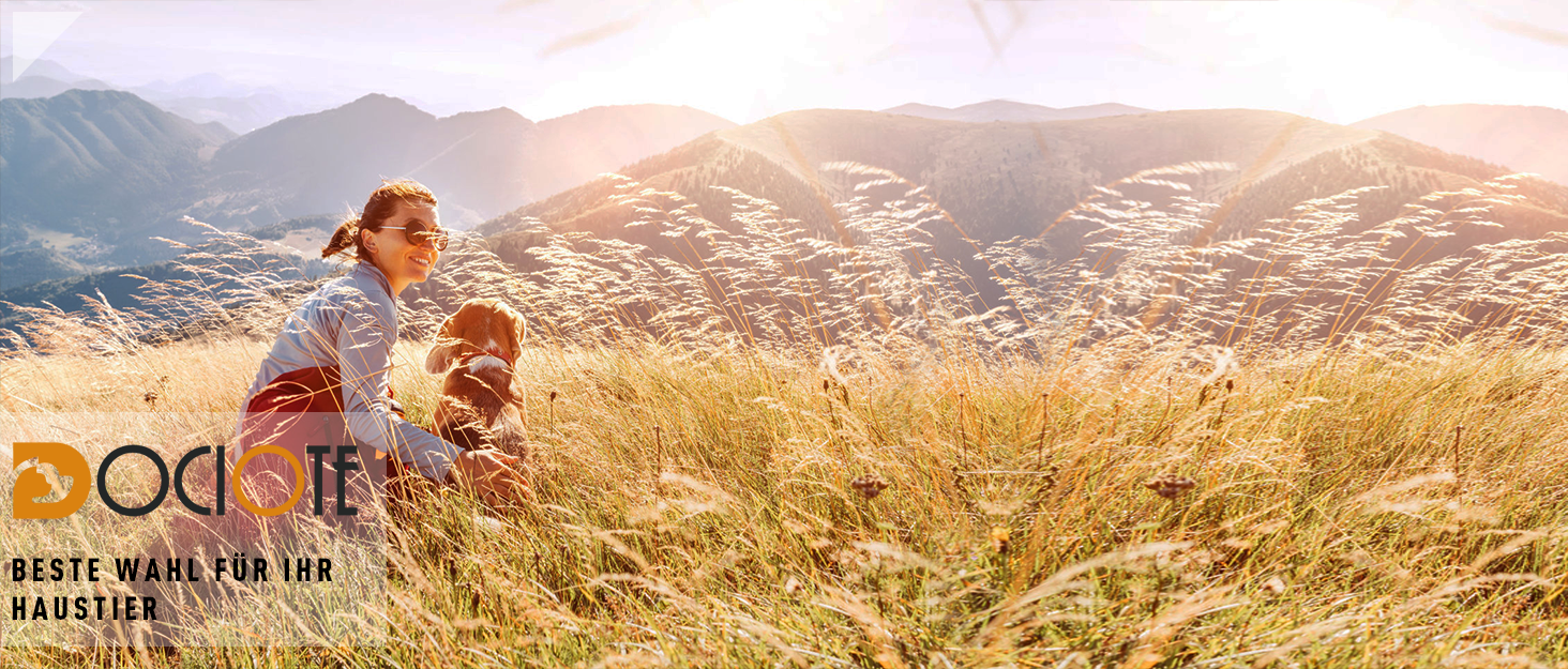 Нашийник для собак великих порід, антинатяг, світловідбиваючий, дихаючий, зручний, безпечний, м'який, зелений, XL, упаковка 1 шт.