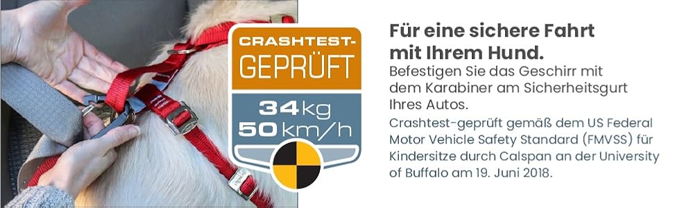 Автомобільний нашийник Kurgo TRU-Fit для собак, з м'якою грудною частиною та D-подібним кільцем, з авторемнем, розмір M, фіолетовий