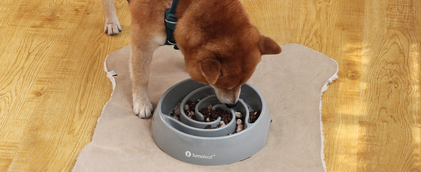 Миска для собак LumoLeaf Antischlingnapf, Ø 22 см, протиковзаюча, важка, для повільного годування, сіра (Торнадо), L