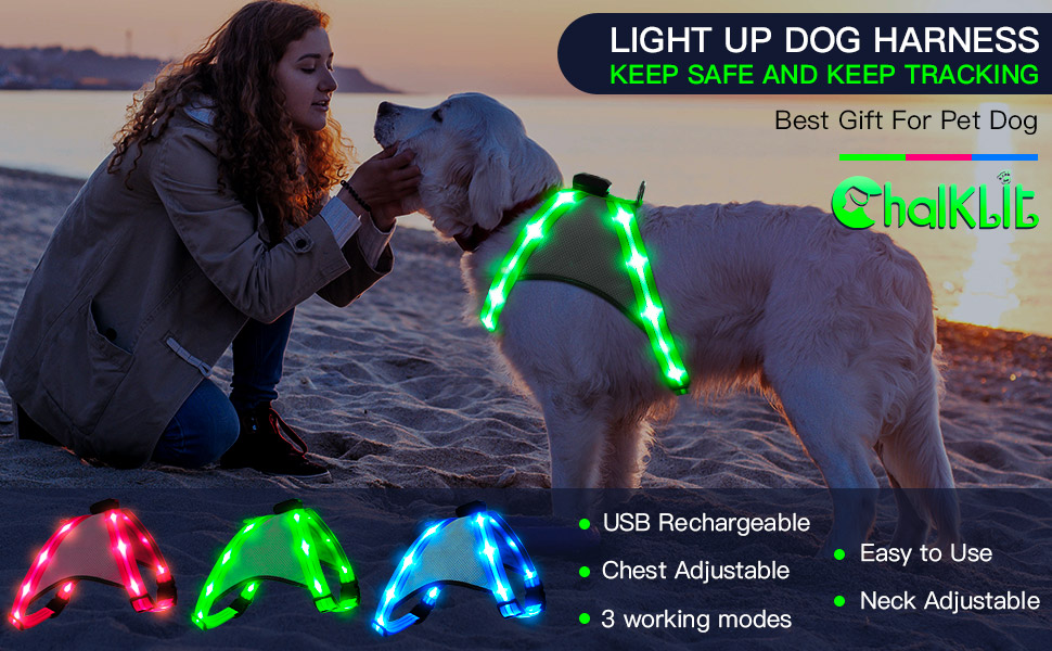 LED нашийник для собак ChalkLit, світлодіодна шлейка для собак, безпечний нашийник для нічних прогулянок (Синій, L)