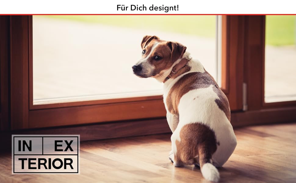 INEXTERIOR Futterstation для собак та котів: дерев'яна годівниця з білого дерева, персоналізована, Made in Germany