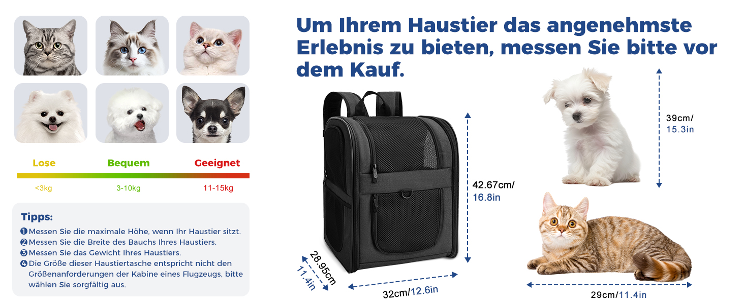 Рюкзак для собак та котів Apollo Walker - зручний та дихаючий, для малих тварин (2-15 кг), чорний