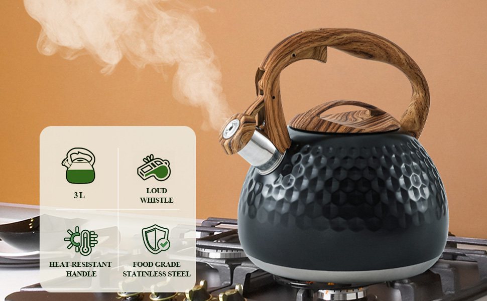 Чайник-свисток Teekessel з нержавіючої сталі, для всіх типів плит