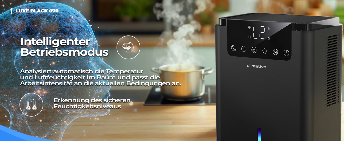 Електричний осушувач повітря Climative ION 12L/24h з Wi-Fi та очищувачем повітря для дому, квартири, ванної кімнати. Захист від вологи та плісняви до 20 м². Чорний Luxe 070