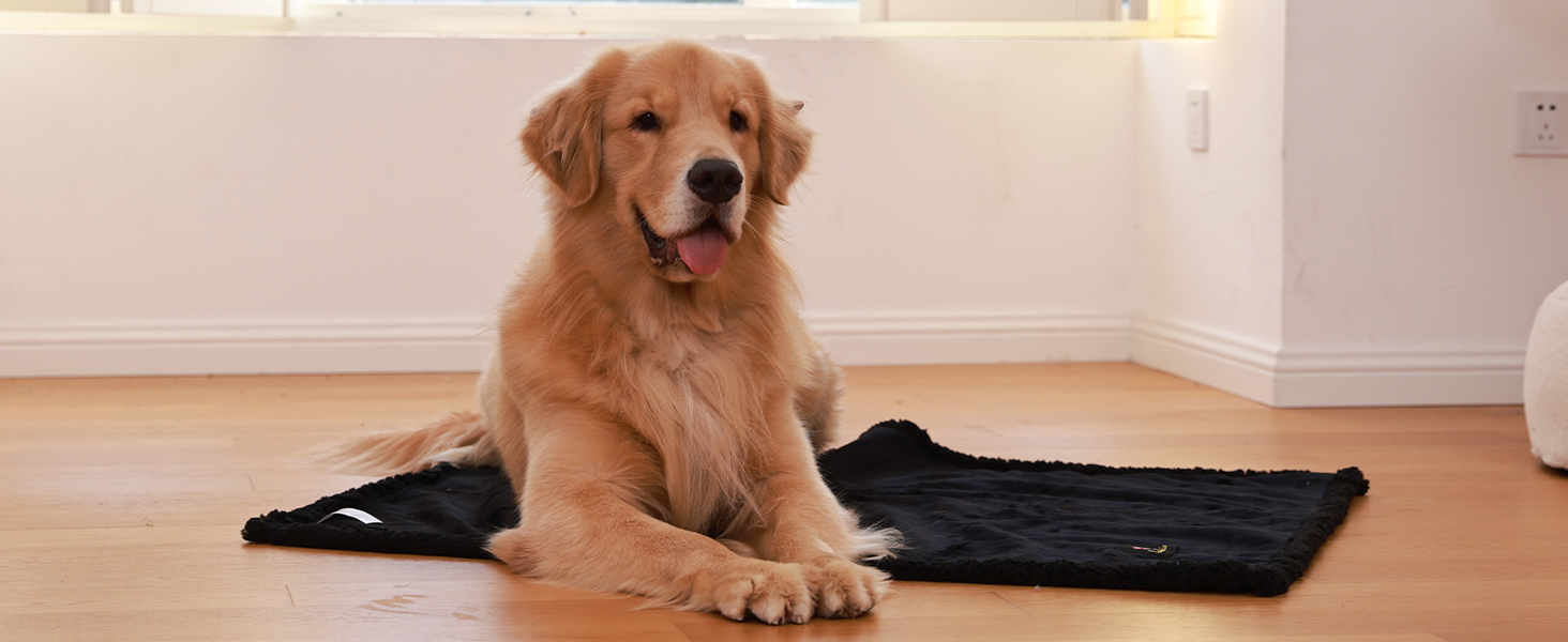 Водонепроникний коврик для собак Luciphia, флісовий, миючий, для собак та котів, захист дивану, ліжка, автокрісла, меблів, темно-сірий, розмір M (100 x 145 см)