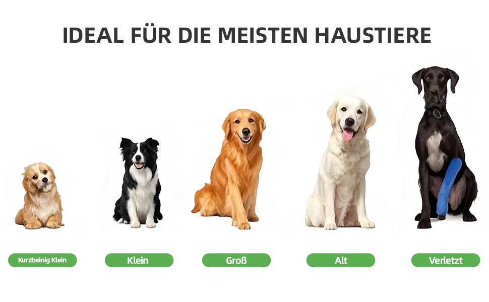 Рампа для собак у машину, розкладна, 170 см, з антиковзким покриттям, для маленьких, середніх та великих собак. Підходить для авто, SUV, вантажівки, дивану та ліжка.