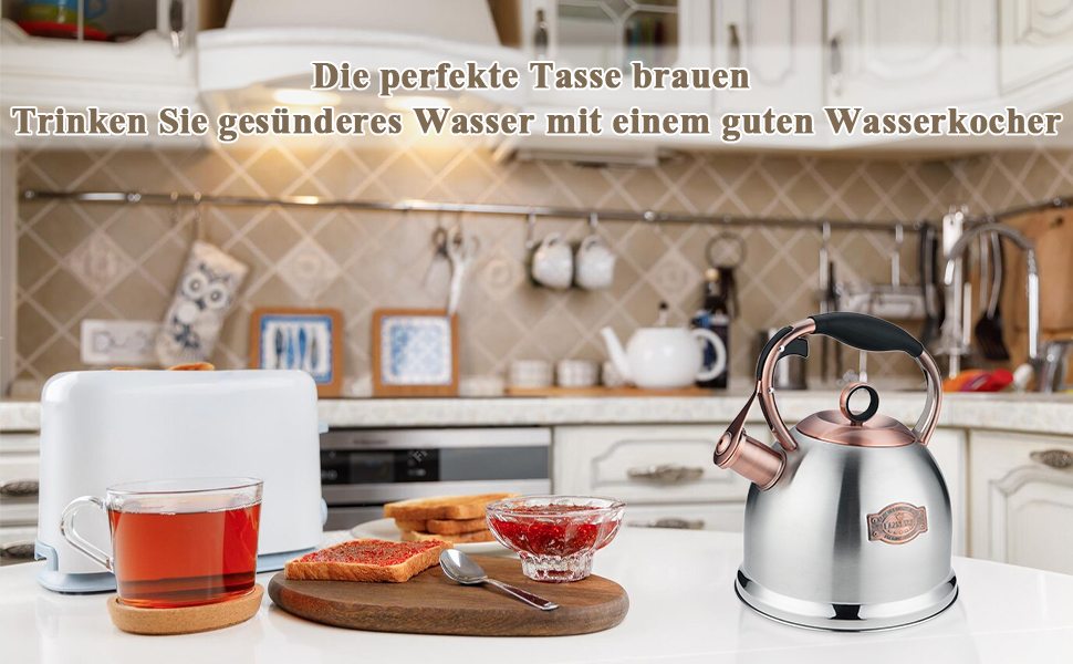 Чайник-свисток 3L з нержавіючої сталі, з термостійкою ручкою, для індукційних плит, чорний