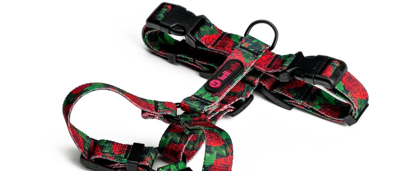 Шлейка для собак середніх порід | Не вбирає вологу | Регульована | З контролем | Легка класична шлейка | Dog Harness | Eternal Rose, M - виміряйте розмір собаки