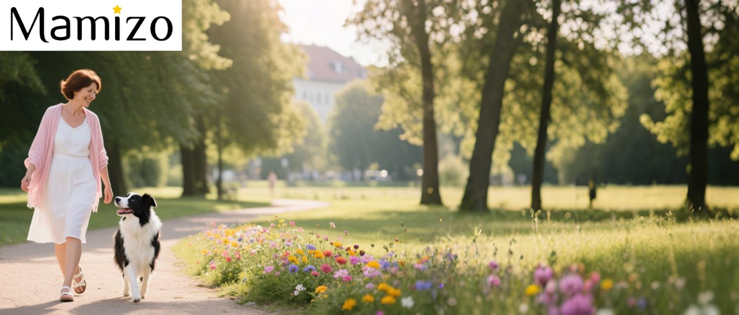 Візок для собак MAMIZO 3 в 1: візок, переноска, сумка. До 20 кг, 360° обертання, з відкидним кошиком та тримачем для напоїв. Підходить для собак та котів.