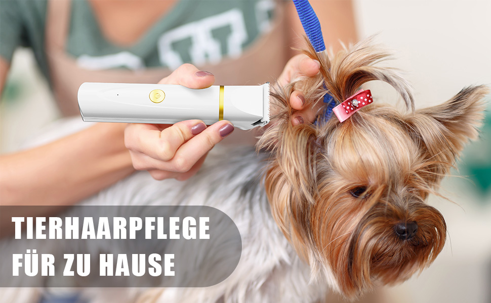 Машинка для стрижки собак і котів Leise, акумуляторна, 7000 об/хв, 4 насадки для догляду за лапами, очима, вухами, обличчям та тілом