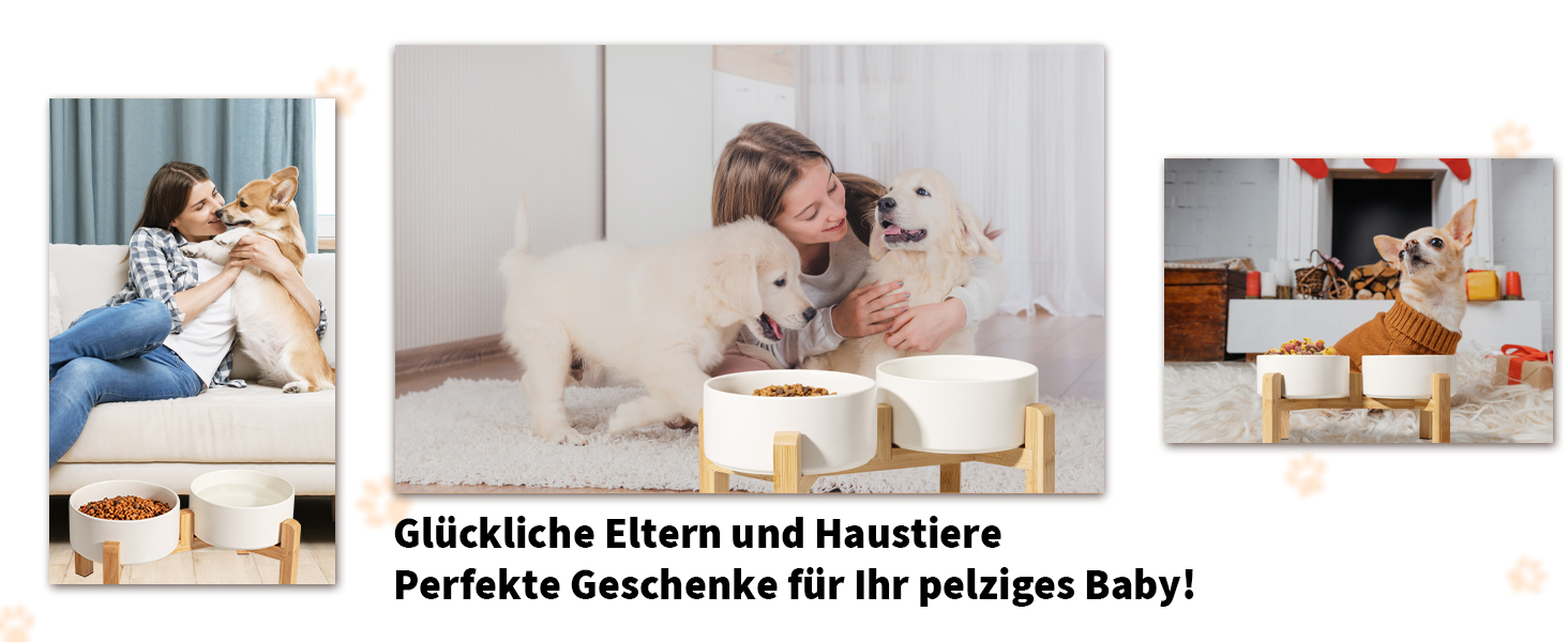 Elevated Dog Bowl Set - Ceramic Double Bowls with Non-Slip Stand - 2 Pack, 850ml Each - Ideal for Small & Medium Dogs