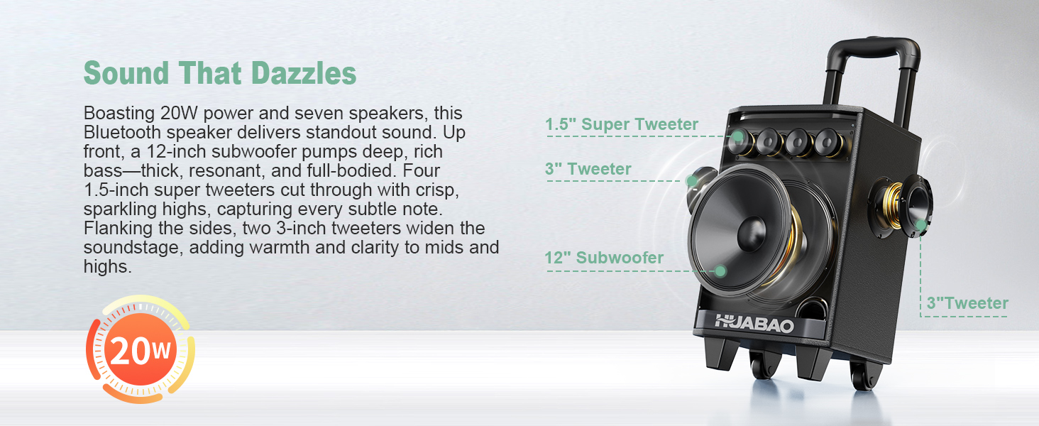 Bluetooth-портативна акустика для караоке з 2 мікрофонами, 11 динаміків, акумулятором 8800mAh, ручкою-тележкою та підсвічуванням. FM/AUX/USB/TF, регулювання басів та високих частот (A113)