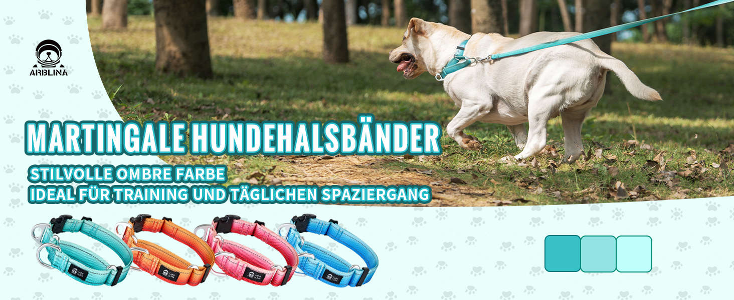 Відбиваюче повідець для собак Martin Gay, з зупинкою, для великих, середніх та малих собак, повідок-стопер для Whippets, Greyhounds, Saluki (Турквезевий, M)