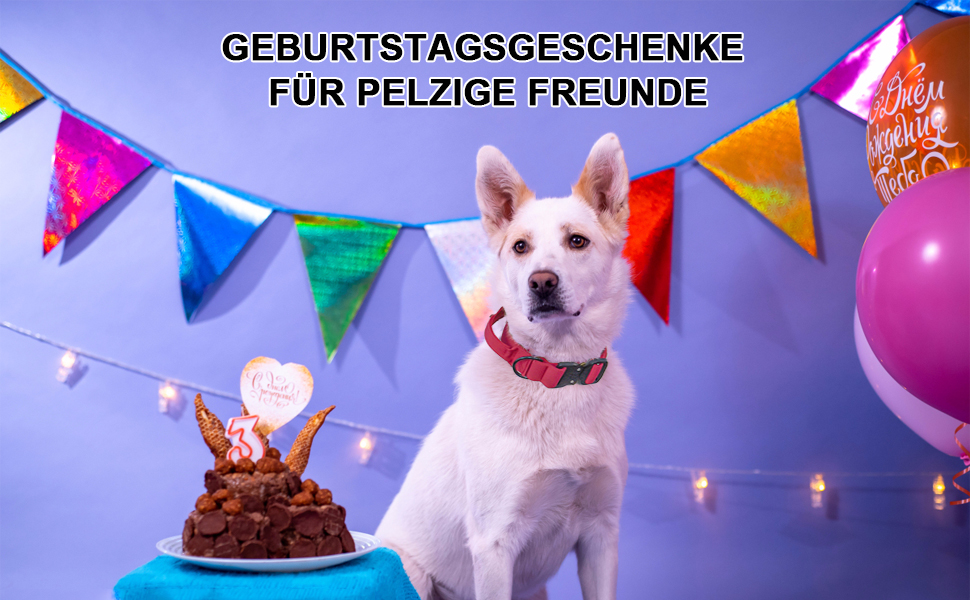 Тактичне нашийник для собак з ручкою, XL, зелений. Міцний, регульований, з металевою застібкою та неопреновою підкладкою