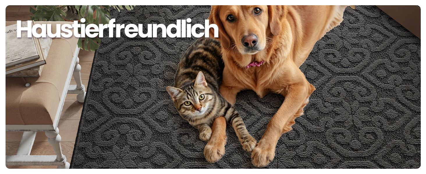 При Entrance килимок DEXI 60x90 см, протиковзний вбираючий килим для входу, передпокою та тераси, антрацит