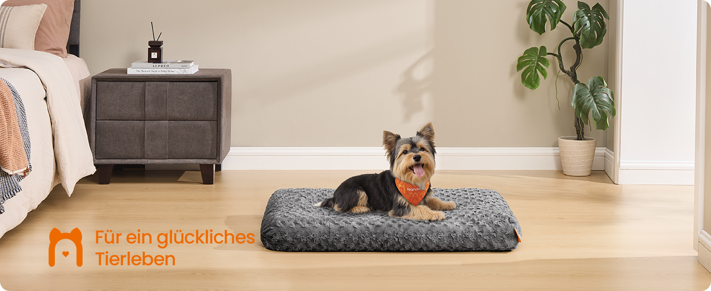 Ліжко для собак Feandrea, XL, для великих собак, м'яка подушка, плюш, 110 x 73 см, з м'яким наповнювачем, можна прати, неслизьке, сірий PGW293GN01 (M (80 x 50 x 10 см))
