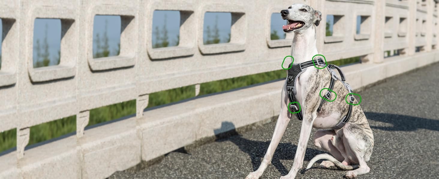 Шлейка безпеки для собак Huntboo, анти-пробіжна, світловідбиваюча з м'якою ручкою, регульована жилетка для маленьких собак, для прогулянок та тренувань (S), чорна, X-Small (упаковка з 1)