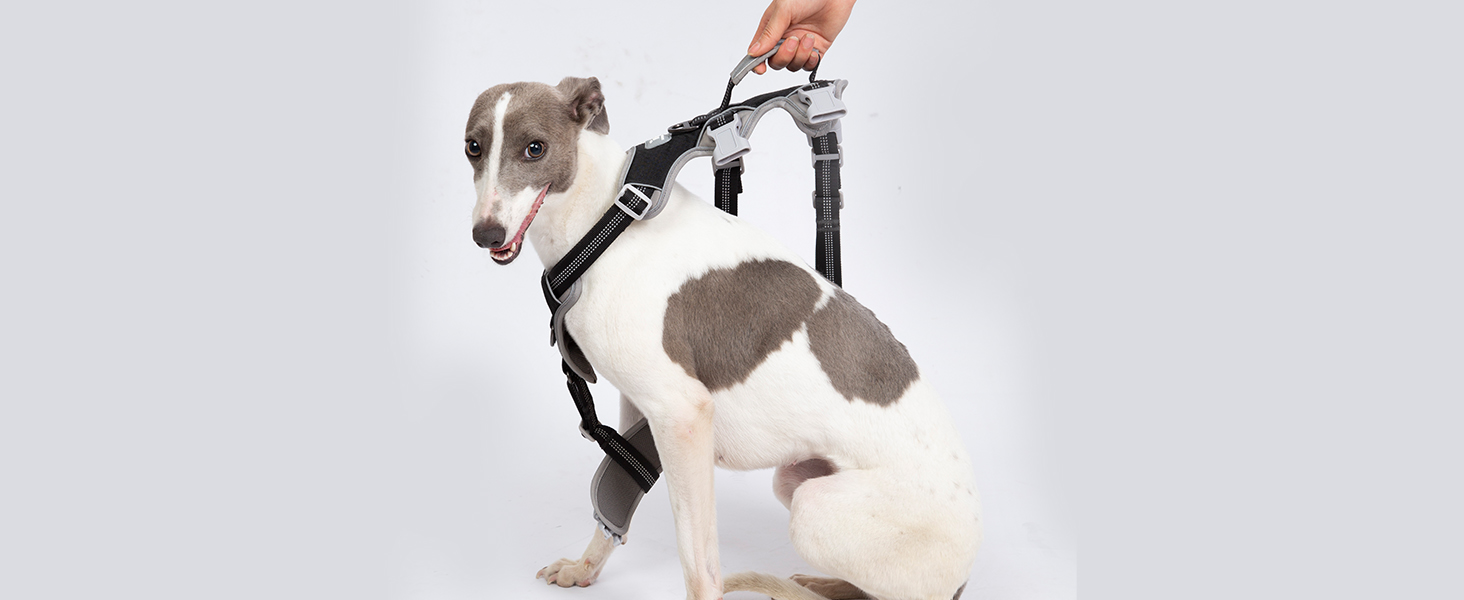 Нашийник для собак Huntboo, великі породи, анти-злам, світловідбиваючий, водонепроникний, регульований, для прогулянок та бігу (Чорний, L, упаковка з 1)