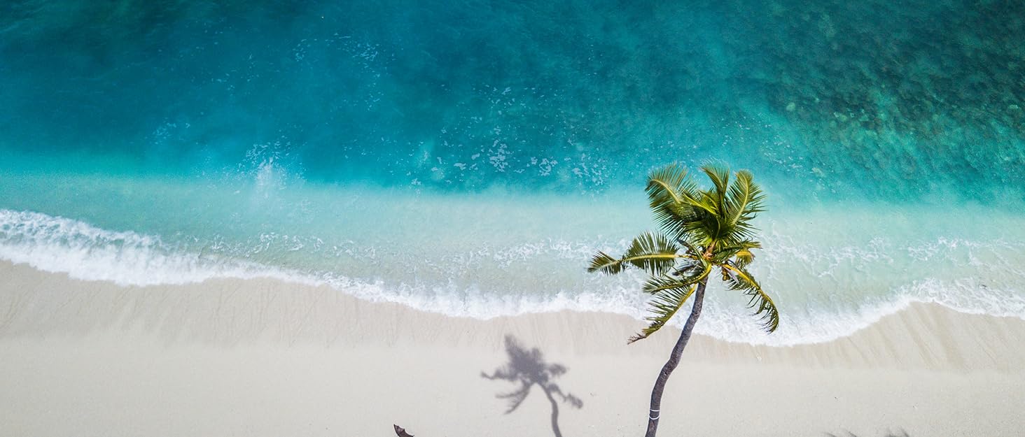 Міні холодильник 2 в 1 з охолодженням та нагріванням, 15L, 12V/220V, для дому, авто, офісу, чорний